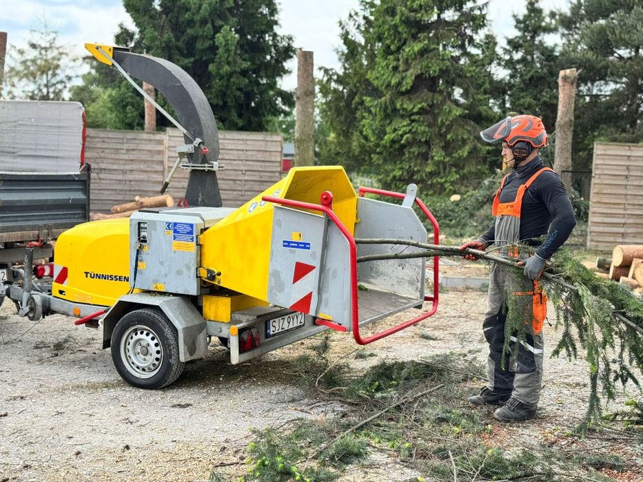 Wycinka drzew / wycinka alpinistyczna / przycinanie / tuje / oczyszcza