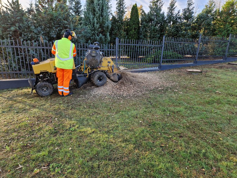 Wycinka drzew, mulczer, rozdrabnianie gałęzi, frezowanie pni, zwyżka