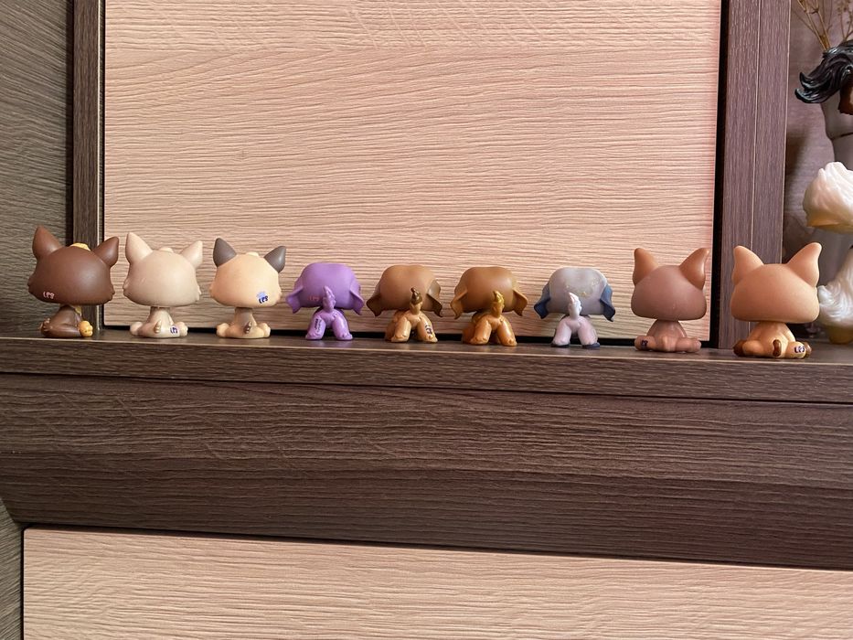 LPS Littlest pet shop psy zestaw