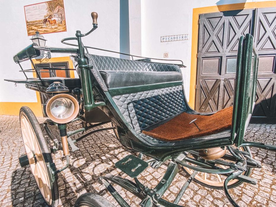 Charrete de cavalos - Break