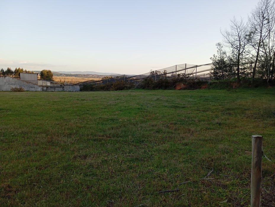 Terreno de construção nas meãs do campo ao lado da nacional 111