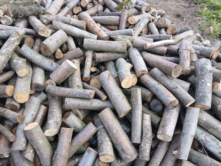 Sprzedam gałęziówke buk i dąb