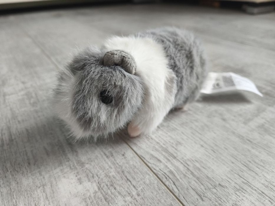 Świnka morska zabawka, pluszak, maskotka ,nowa, pluszowa US Teddy