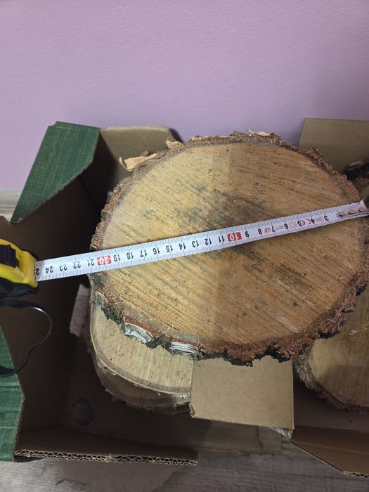 krążki rewna ok ok 22 cm plaster drewna