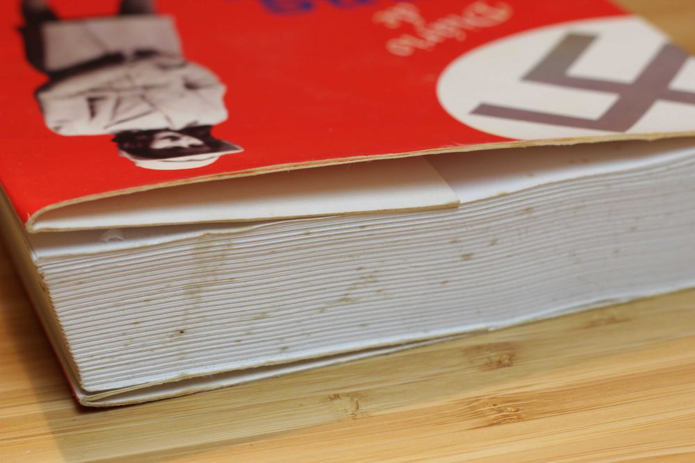 O DIÁRIO DE ANNE FRANK (livro em português)