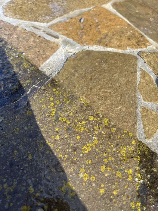 Якісне косіння трави, проведення скарифікації-аерації, миття бруківки!