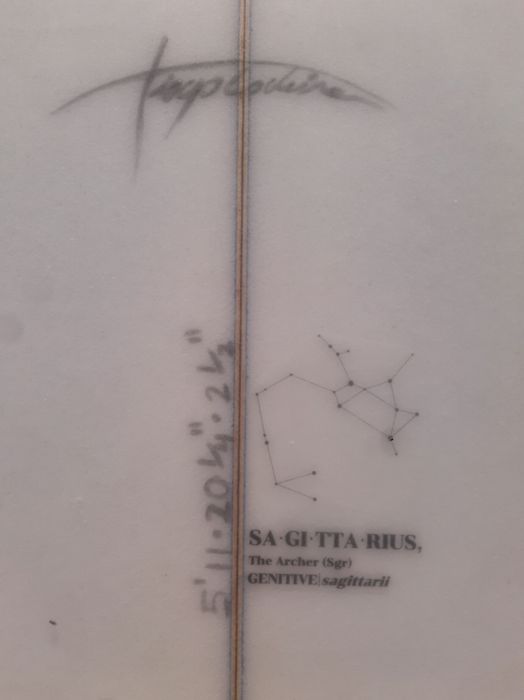 Performance Twin Fin 5'11" ~ 31L