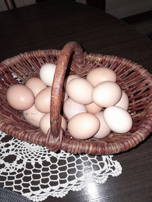 Jajka Wiejskie Kurze
