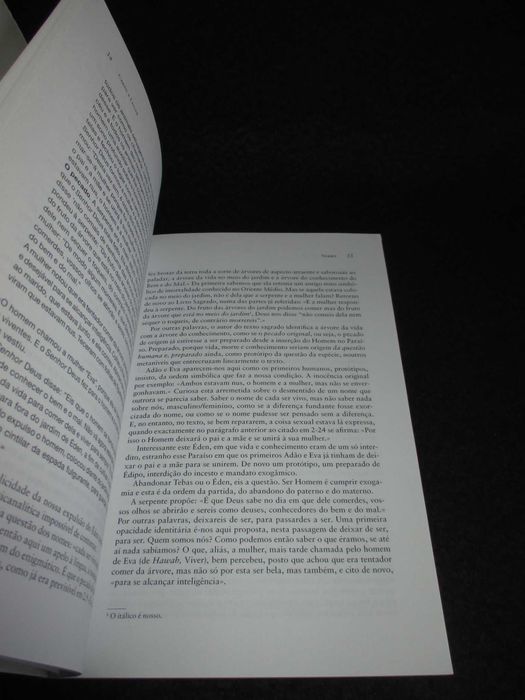 Livro Carne e Lugar Carlos Amaral Dias