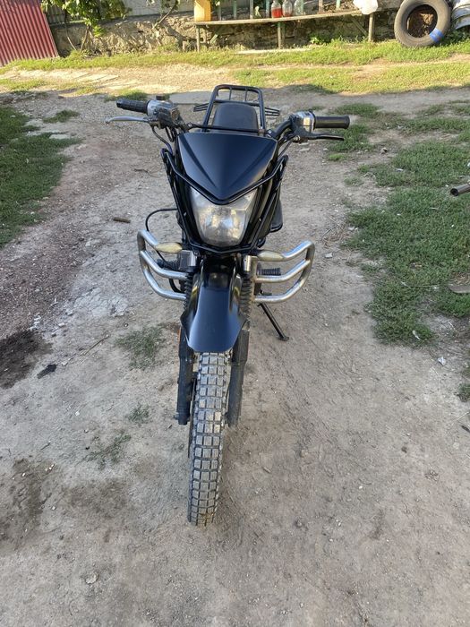 Продам шенерай інтрудер200