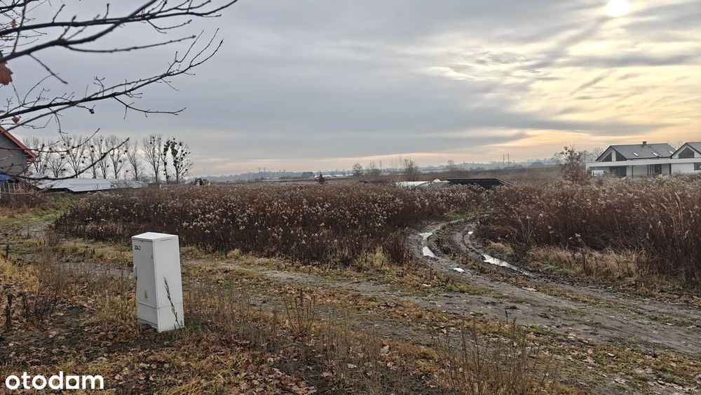 Działka budowlana 1550 m² z asfaltowym dojazdem