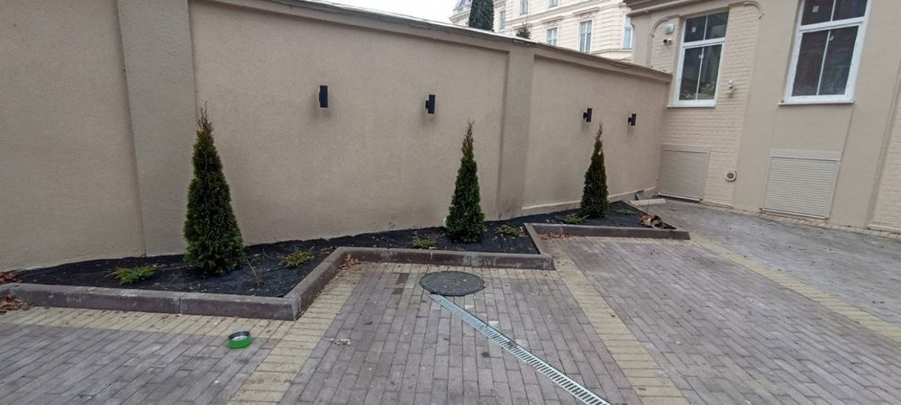 Оренда квартири у центрі, вул. Стефаника