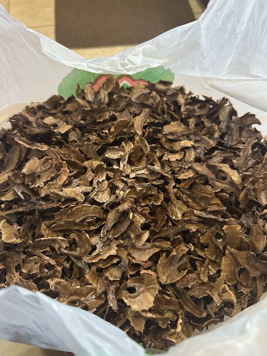 Перепонка грецкого ореха