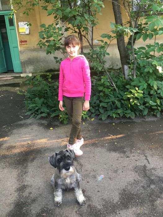 Потерялся любимец семьи