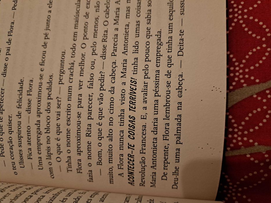 Flora & Ulisses de Kate DiCamillo