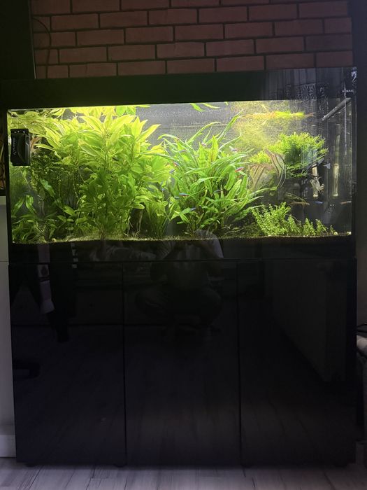 Akwarium Aquael glossy 260