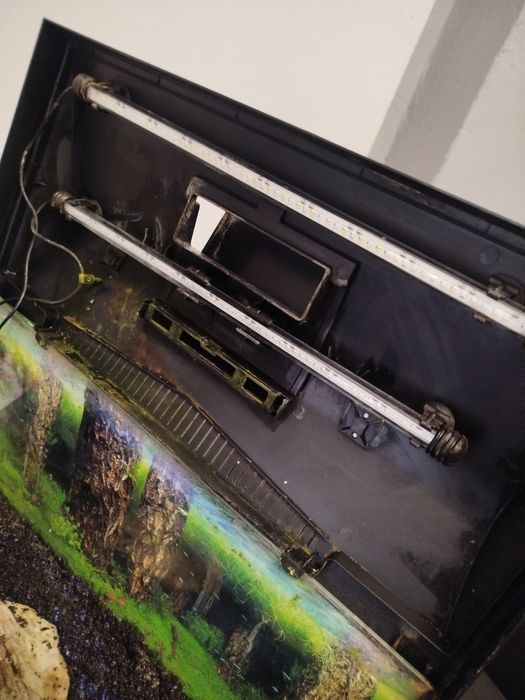 Akwarium na ryby 60l