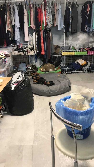 Шкаф домашний гардероб, Торговое оборудование , торгове обладнання