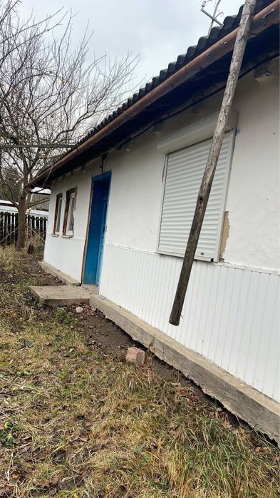 Продається господарство в селі Веренчанка