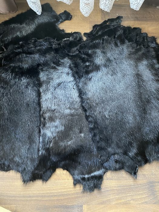 Шкури нутрії продам