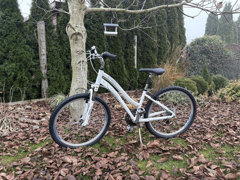 Rower Kross Modo 1.0 26 cali