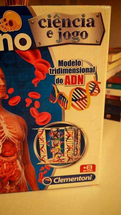 Puzzle Corpo humano