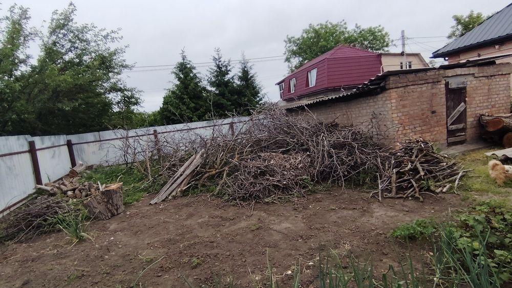Продам орех(на дрова)