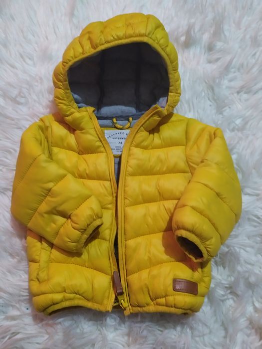 Kurteczka wiosenna reserved.