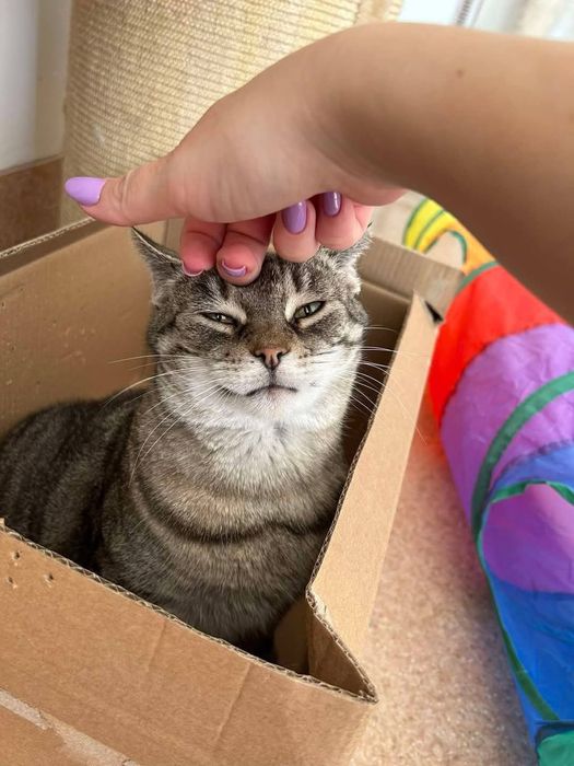 Urocza Jola szuka domu!