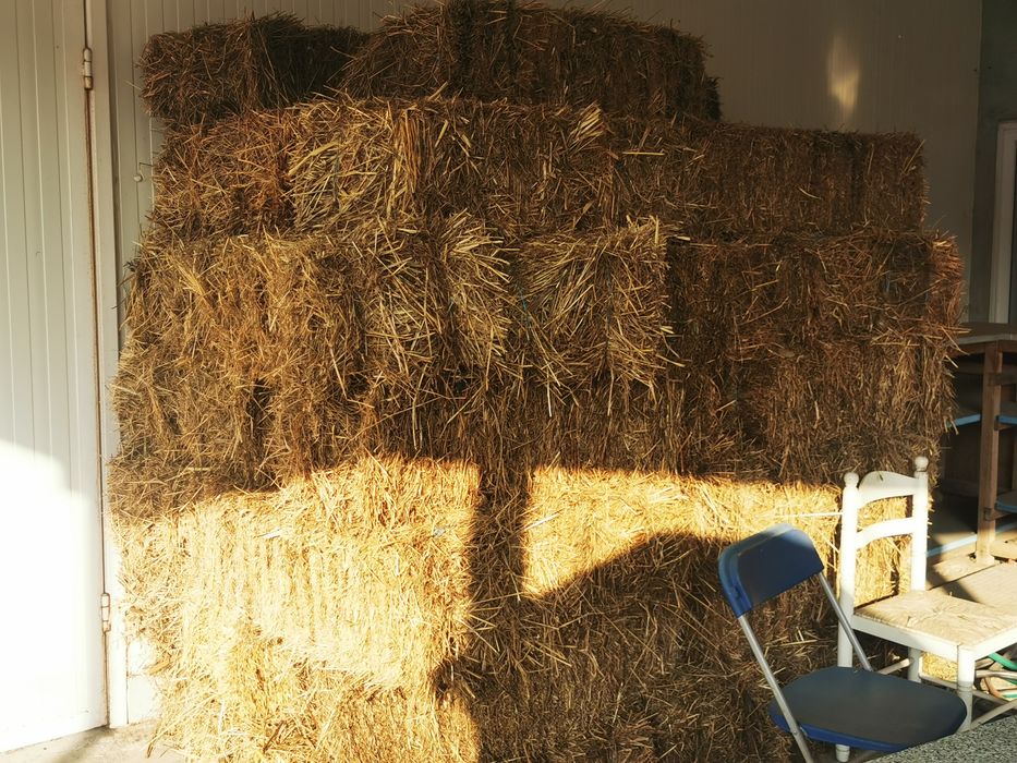 Palha vários fardos