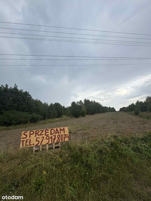 Działka 1.19 ha przy DK42