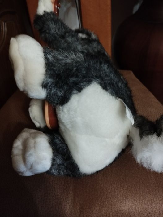 Cão peluche com viola