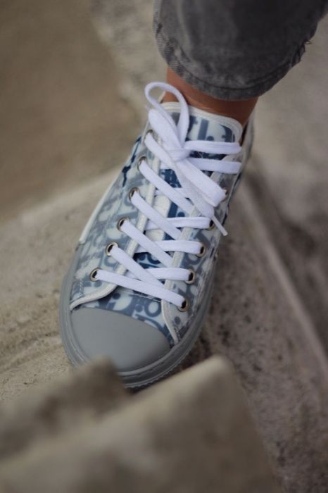 Dior Low Grey/Blue
