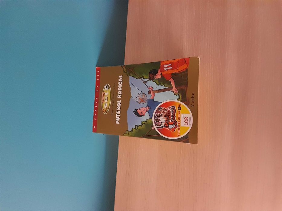 Lote 5 Livros Juvenis: Arrepios, Portal do Tempo, Campeões e Detetives