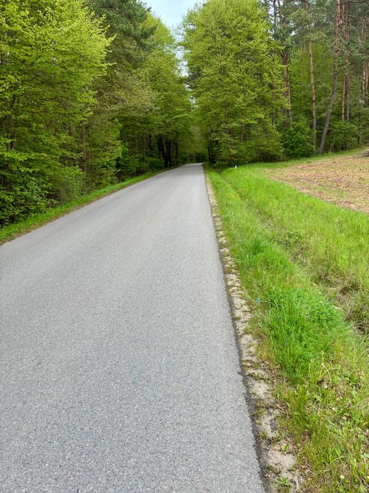 Widokowa działka budowlana przy lesie 3306 m² – Brudzów / Morawica - Widok 6