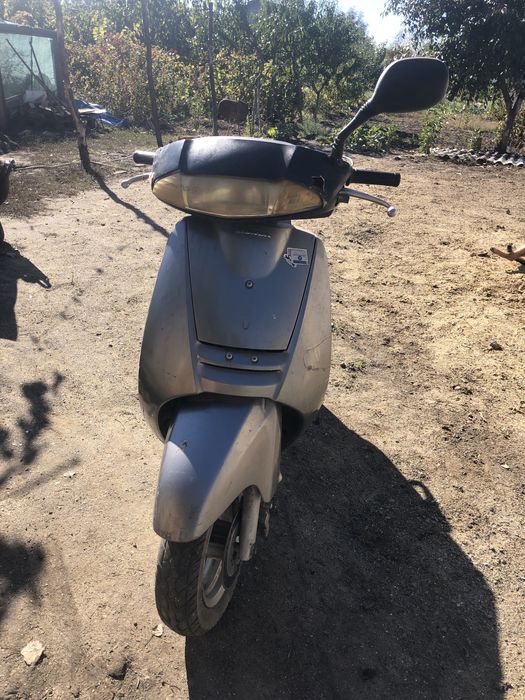 Honda lead 48   (хонда) на документах