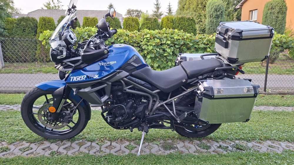 Triumph