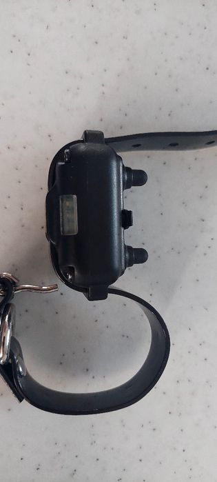 Электронный ошейник