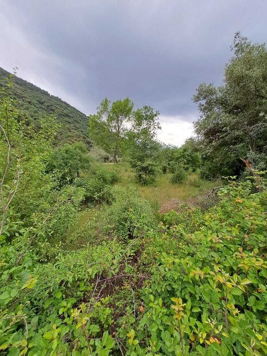 Venda de terreno com 2 600 m2 em Babe - Bragança