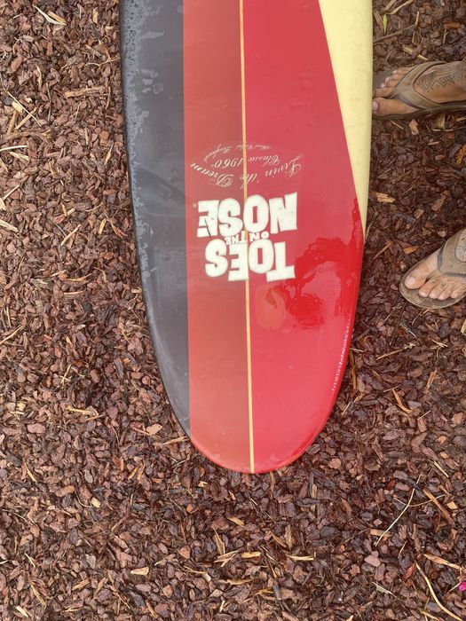 Longboard 9.0 fusion nose rider fish tail