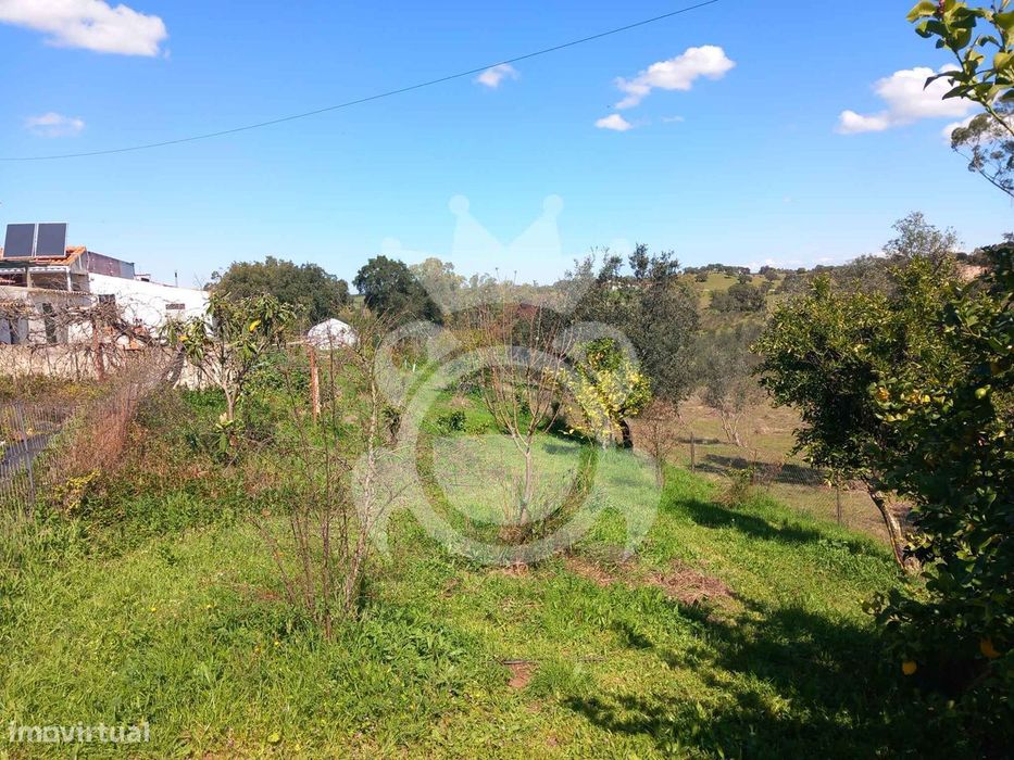 Monte Alentejano - Serpa