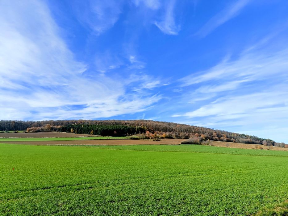 Działka budowlana Paszowice 15,29 arów