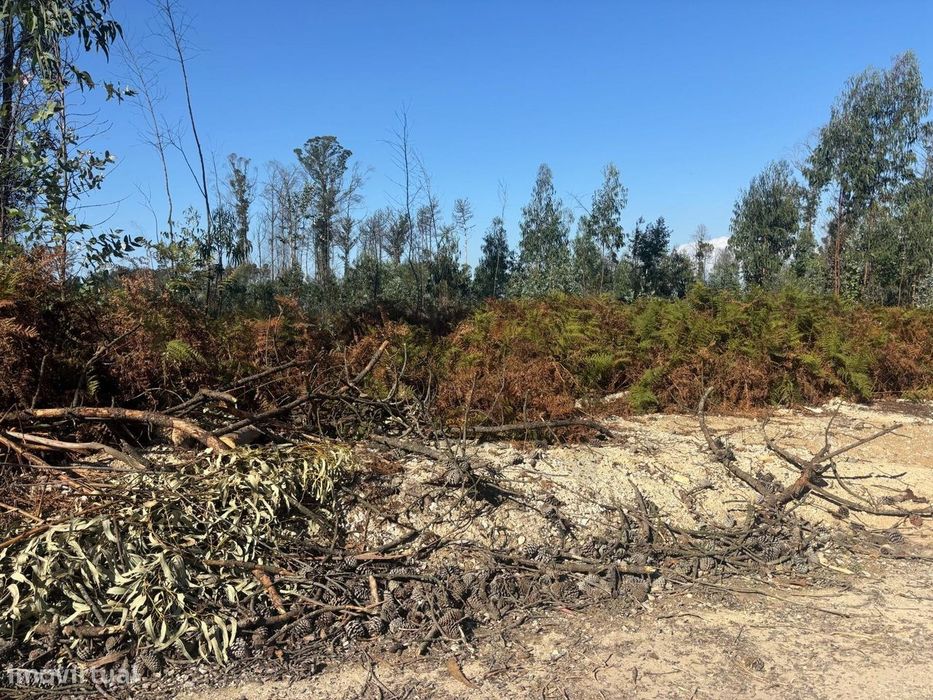 Terreno com 4400 m2