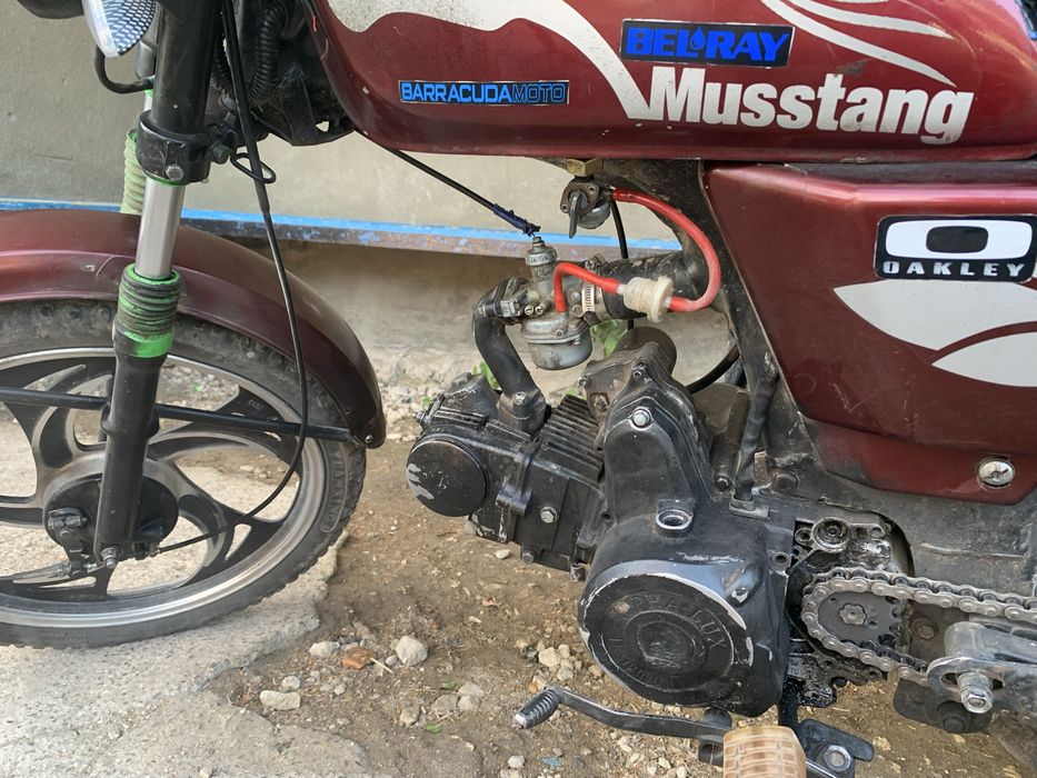 Альфа мустанг 2020