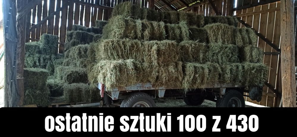 Siano Ekologiczne Bez Nawozu - kostka /Sipma 224 / Zbiór 2025