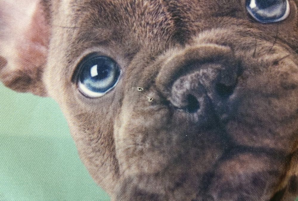 Рюкзак школьный, рюкзак школьный для девочки