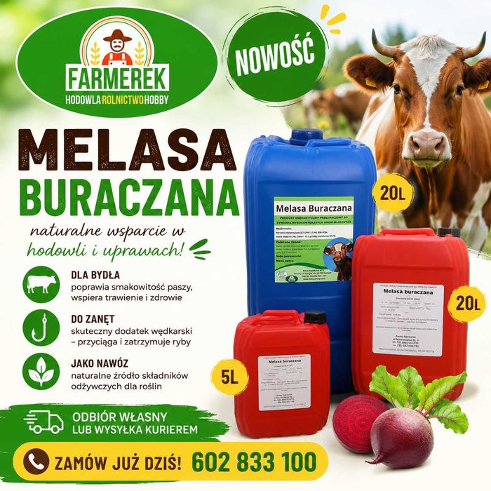Melasa buraczana Polska dla bydła naturalna wędkarska zanęta