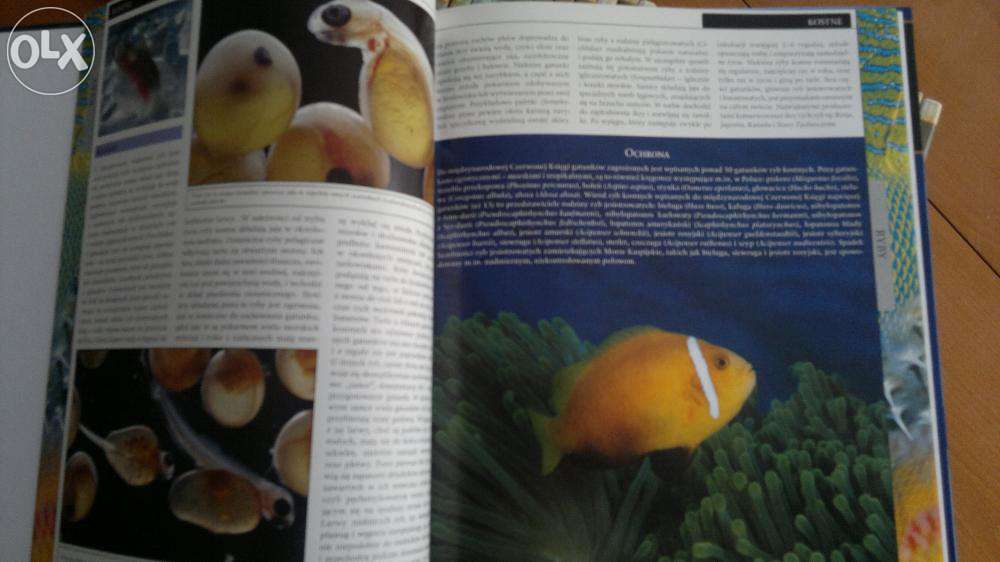 WIELKA Encyklopedia ZWIERZĄT OXFORD Educational - 30 tomów!