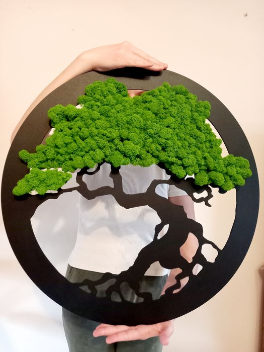 Drzewko bonsai. Obraz z mchu chroboteka 60 cm.Prezent.