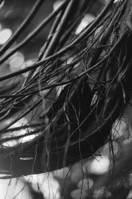 Чорно-біла фото робота